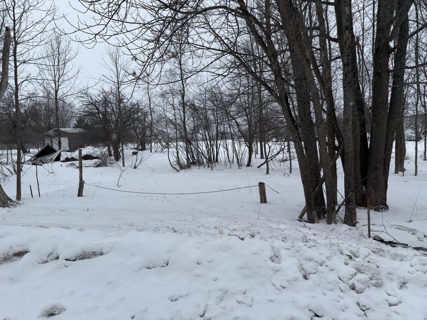 A part of the Greenfield Shores Subdivision, a high and dry lot - Beach Lot for sale in Mcmillan, Michigan on Beachhouse.com