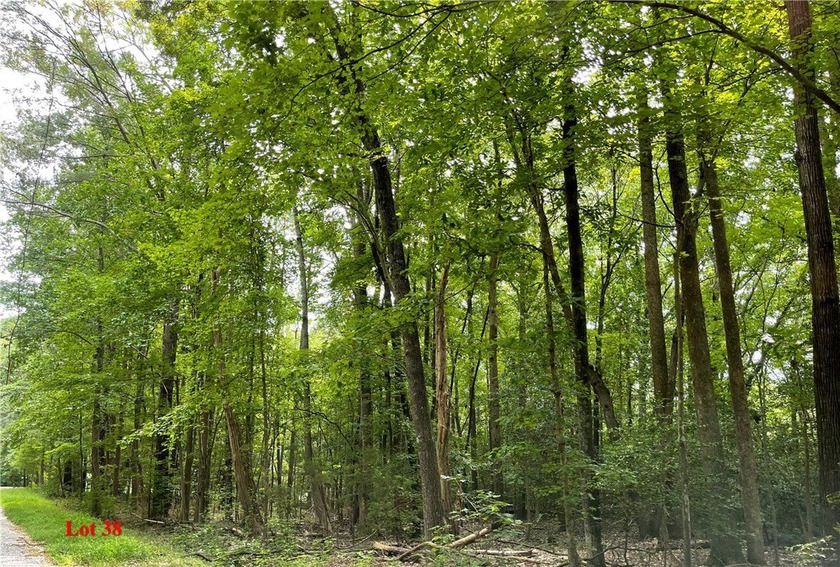 2.97 acre building lot 38 in Wicomico Drive in Wicomico Bluffs - Beach Acreage for sale in Heathsville, Virginia on Beachhouse.com