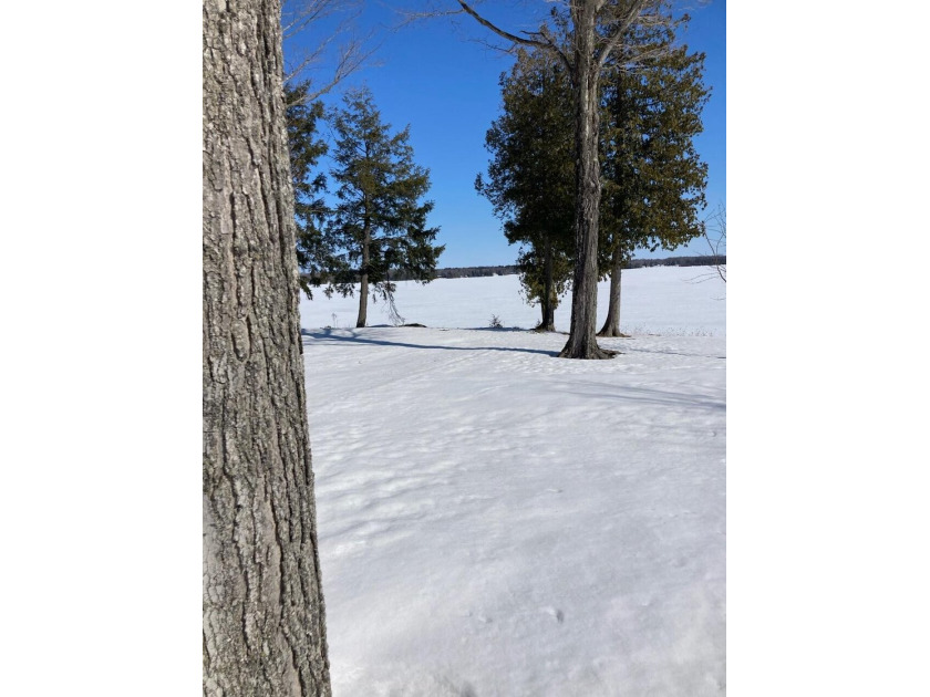 INCREDIBLY  BEAUTIFUL 50.31 Acre parcel with sections of - Beach Acreage for sale in De Tour, Michigan on Beachhouse.com