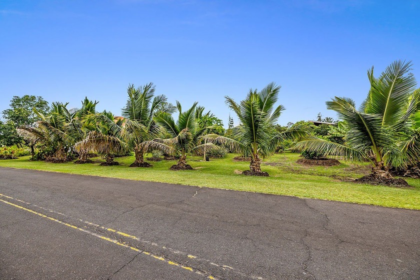 Great opportunity to purchase one of 2 side by side beautifully - Beach Lot for sale in Pahoa, Hawaii on Beachhouse.com