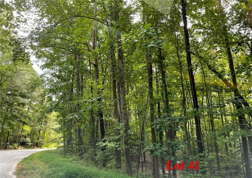 2.181 acre building lot 41 on Wicomico Drive in Wicomico Bluffs - Beach Acreage for sale in Heathsville, Virginia on Beachhouse.com