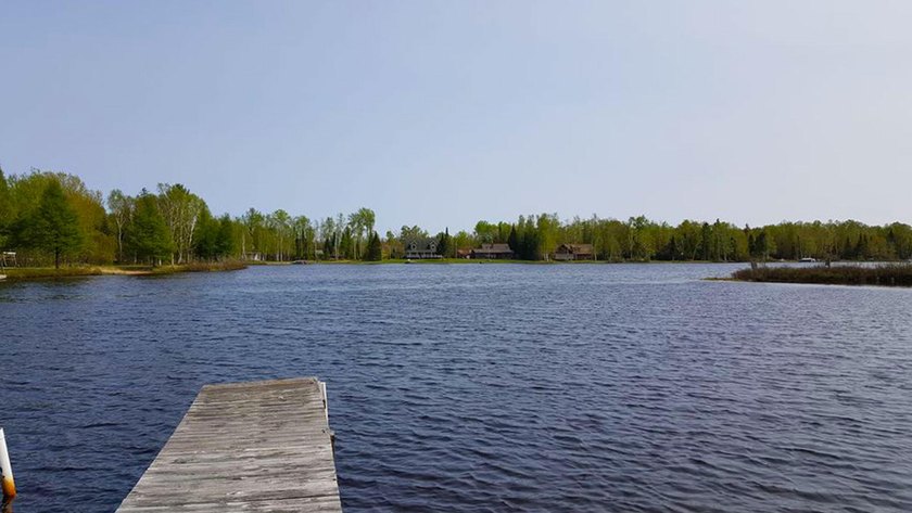 One of the few fully wooded building lots available in Birch - Beach Lot for sale in Trout Lake, Michigan on Beachhouse.com