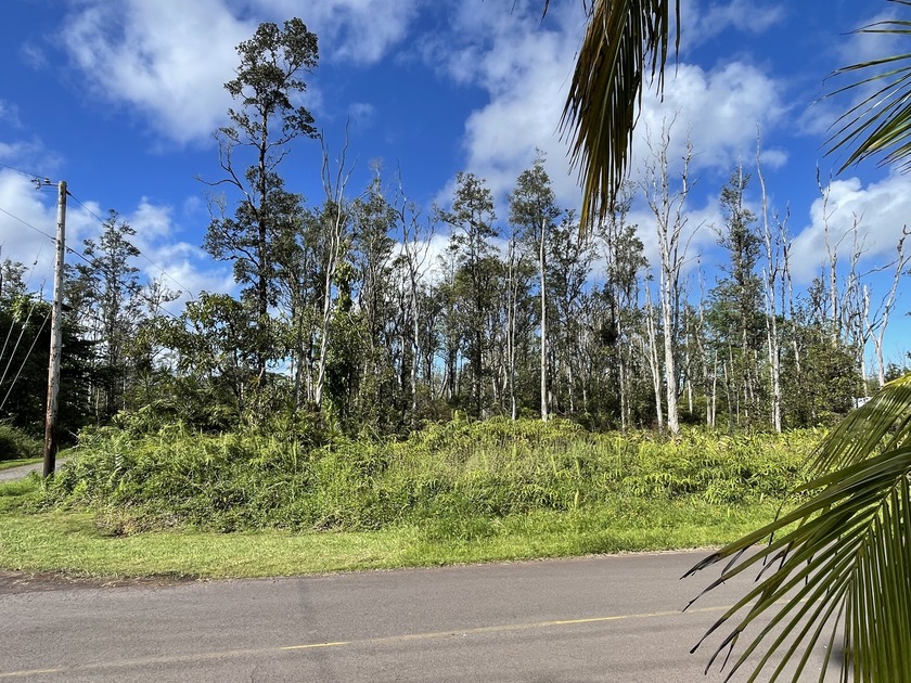 Great property on the cooler side of Ainaloa. Corner lot, on - Beach Lot for sale in Pahoa, Hawaii on Beachhouse.com