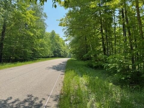 Lots 6,7 and 8 of Subdivision put in for statistical purposes - Beach Acreage for sale in Mcmillan, Michigan on Beachhouse.com