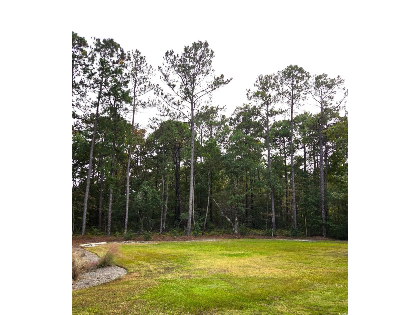 Rare opportunity for builders/developers to secure soon to be - Beach Acreage for sale in Pawleys Island, South Carolina on Beachhouse.com