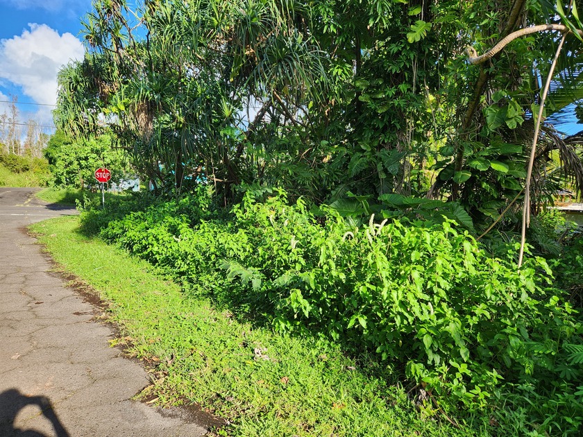 Live in the lush upper Kalapana Seaview jungle. Driveway and - Beach Lot for sale in Pahoa, Hawaii on Beachhouse.com