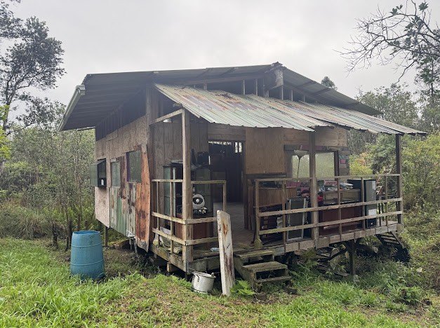 Welcome to your future homestead in Hawaiian Acres - a lush - Beach Acreage for sale in Mountain View, Hawaii on Beachhouse.com