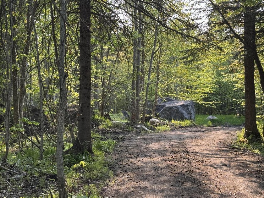 Located on the corner of Williams Hills Rd and Lowder Rd - Beach Acreage for sale in Grand Marais, Michigan on Beachhouse.com