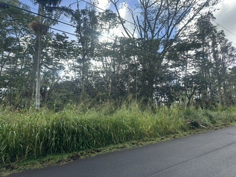 1 acer lot located in the vibrant Leilani estates subdivision - Beach Lot for sale in Pahoa, Hawaii on Beachhouse.com