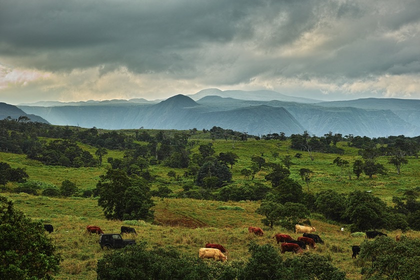 The Waipi'o Valley Reserve represents a once-in-a-lifetime - Beach Acreage for sale in Honokaa, Hawaii on Beachhouse.com