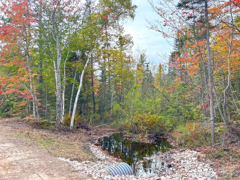Adjacent to state land is this 3.49 acres with a creek running - Beach Acreage for sale in Paradise, Michigan on Beachhouse.com