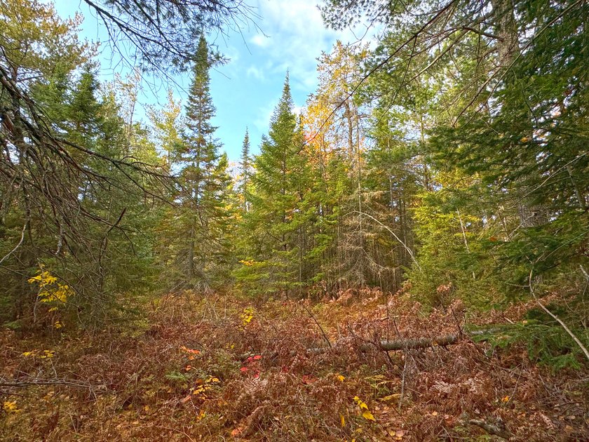 3.47 acres with road frontage on year round N Whitefish Point - Beach Acreage for sale in Paradise, Michigan on Beachhouse.com