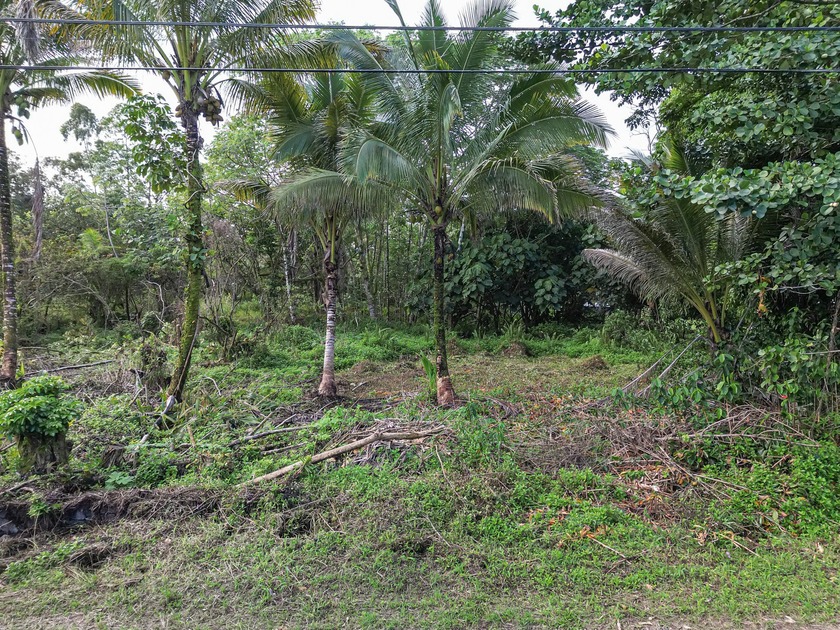 Just minutes from the ocean, this beautiful previously cleared - Beach Lot for sale in Keaau, Hawaii on Beachhouse.com