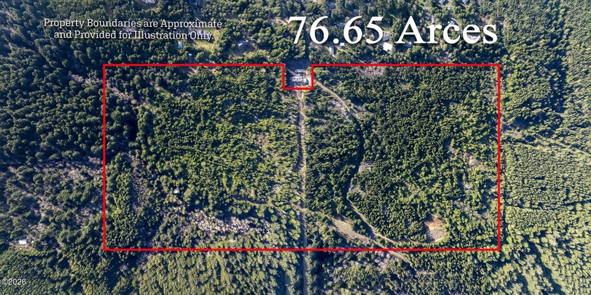 Don't miss this opportunity to own 76.65 acres of Oregon forest - Beach Acreage for sale in Seal Rock, Oregon on Beachhouse.com