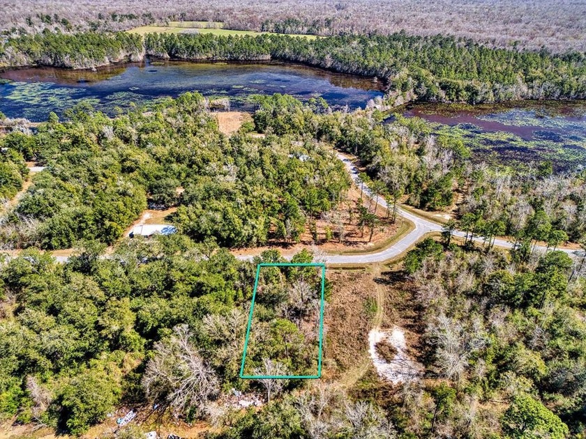 Discover the perfect opportunity to build your dream home on - Beach Lot for sale in Wewahitchka, Florida on Beachhouse.com