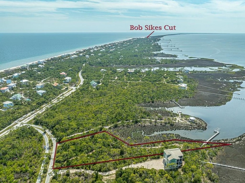 Enjoy privacy, solitude, and spectacular sunsets on this 1 - Beach Lot for sale in St. George Island, Florida on Beachhouse.com
