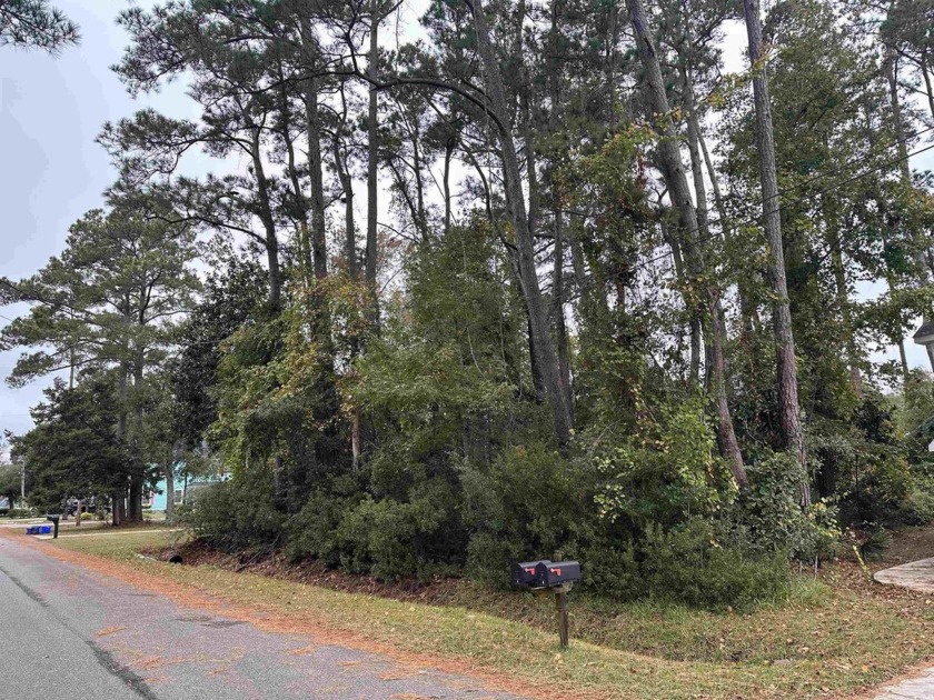 Rectangular lot in established residential neighborhood an easy - Beach Lot for sale in Surfside Beach, South Carolina on Beachhouse.com