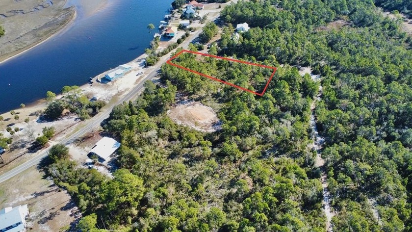 Discover the perfect blend of privacy, natural beauty, and - Beach Lot for sale in Carabelle, Florida on Beachhouse.com