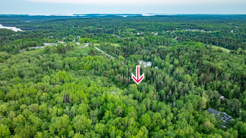 Discover the perfect blend of privacy and potential with this - Beach Acreage for sale in Jonesboro, Maine on Beachhouse.com