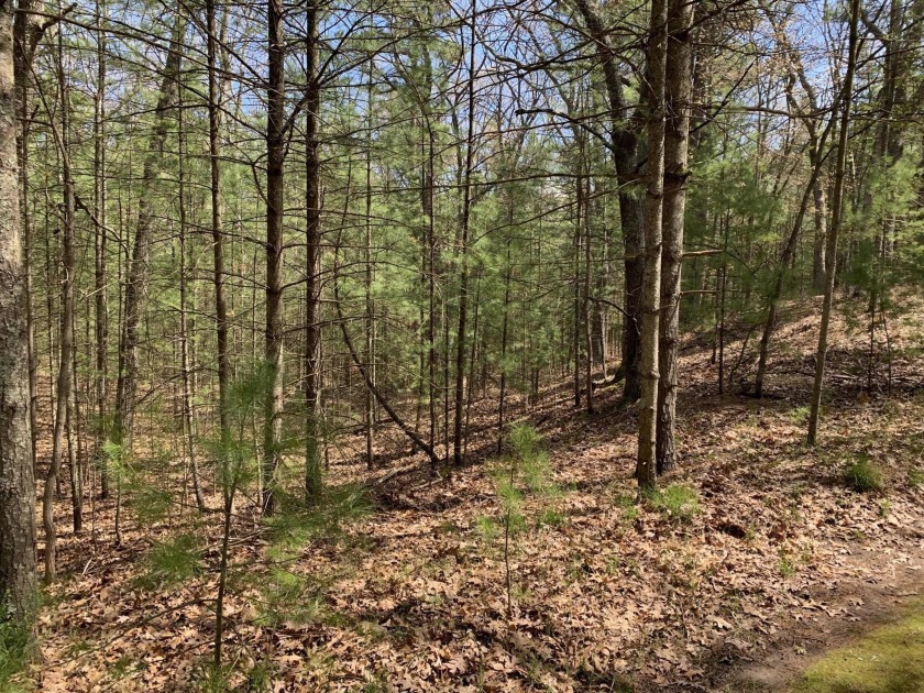 Secluded wooded lot close to Bass Lake, Lake Michigan, Pentwater - Beach Lot for sale in Pentwater, Michigan on Beachhouse.com
