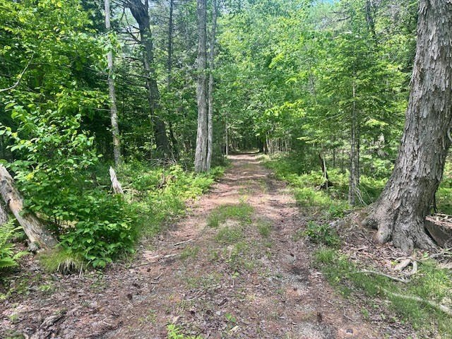 Folks, if you have been dreaming of finding the perfect, most - Beach Acreage for sale in Belfast, Maine on Beachhouse.com