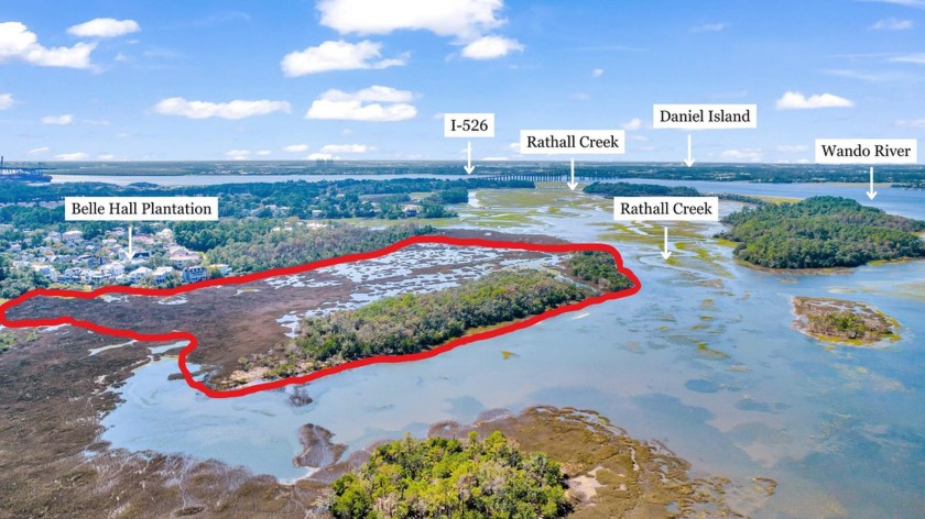 Discover Byrd Nest Isle, a 30-acre exclusive island nestled - Beach Acreage for sale in Mount Pleasant, South Carolina on Beachhouse.com