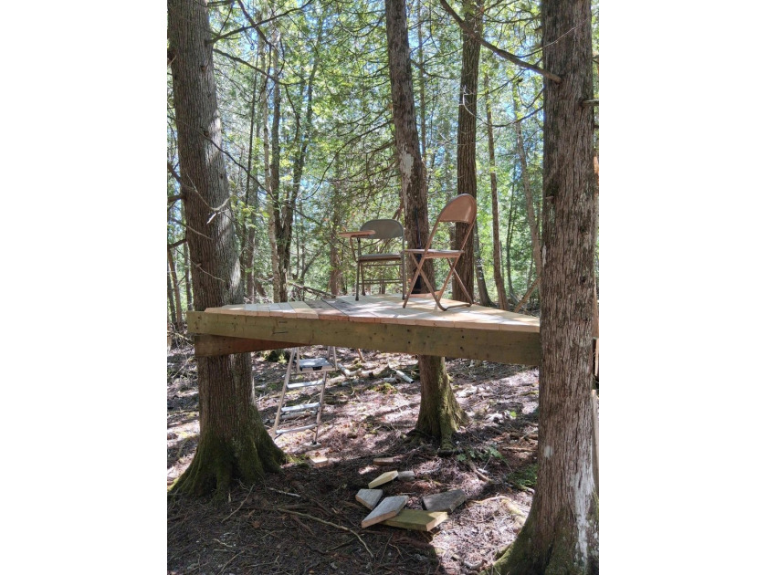 Amazing rolling 1.48 acre lot located on East end of island - Beach Lot for sale in Bois Blanc Island, Michigan on Beachhouse.com