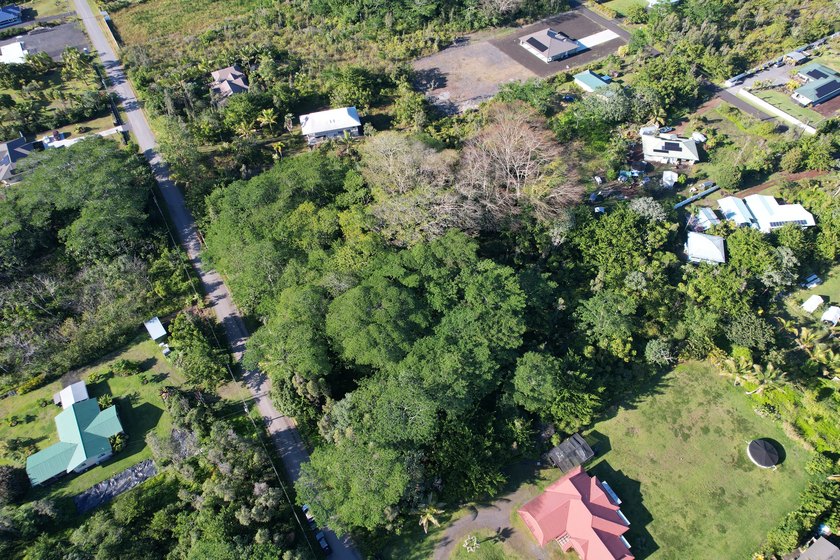 This 1-acre lot includes a cinder-block structure built years - Beach Lot for sale in Keaau, Hawaii on Beachhouse.com