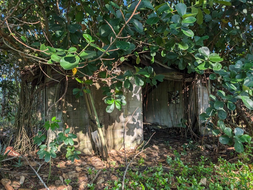 This 1-acre lot includes a cinder-block structure built years - Beach Lot for sale in Keaau, Hawaii on Beachhouse.com