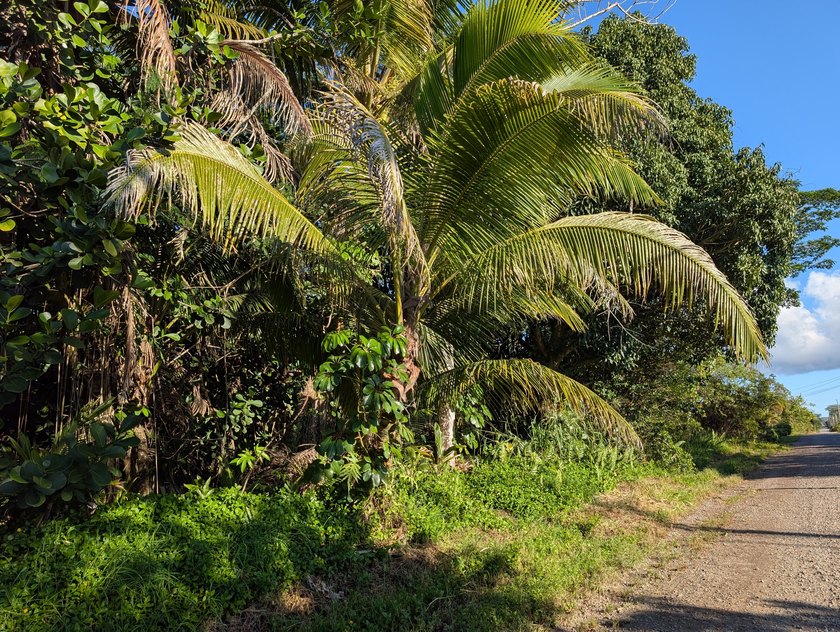 This 1-acre parcel offers a naturally forested setting with - Beach Lot for sale in Keaau, Hawaii on Beachhouse.com
