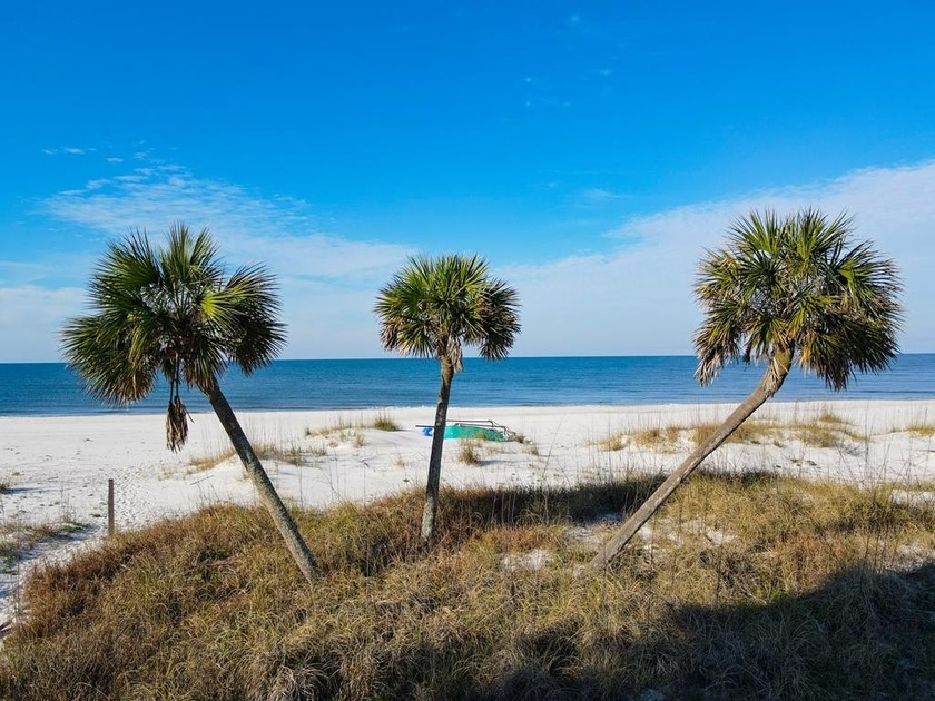 This 50-foot Gulf Front lot provides stunning views and - Beach Lot for sale in Port St Joe, Florida on Beachhouse.com