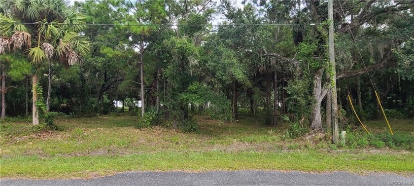 Looking for that space to build your next home and be just - Beach Lot for sale in Crystal River, Florida on Beachhouse.com