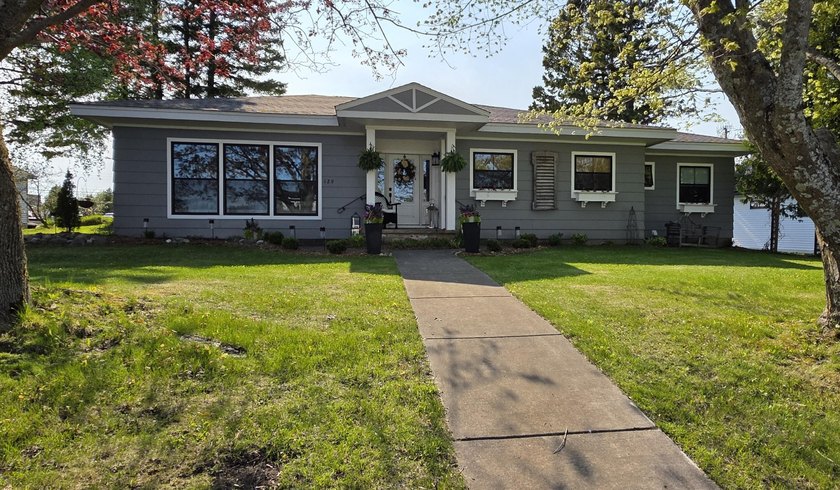 Welcome to 129 Ontario St in DeTour Village! Originally built in - Beach Home for sale in De Tour, Michigan on Beachhouse.com