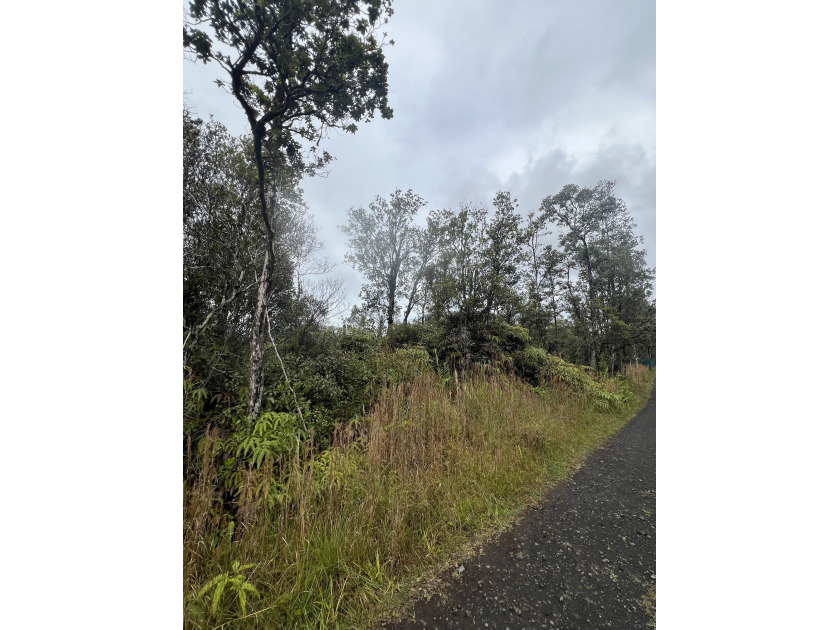 Vacant 1 acre lot located at Eden Roc Subdivision. Lot had a - Beach Lot for sale in Mountain View, Hawaii on Beachhouse.com