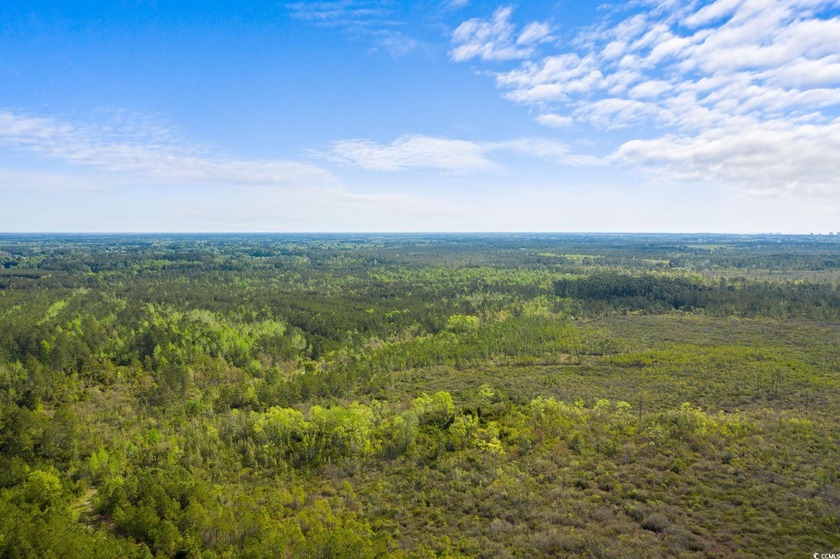 Unlock the potential of this expansive 193-acre property located - Beach Acreage for sale in Longs, South Carolina on Beachhouse.com