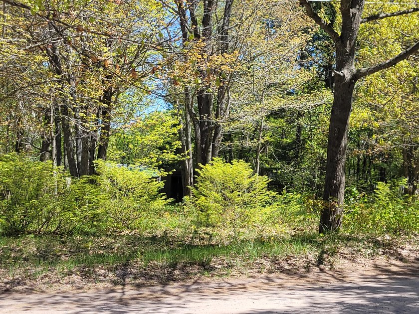 Buildable parcel perfect for your new home.Various trees and - Beach Lot for sale in Sault Sainte Marie, Michigan on Beachhouse.com