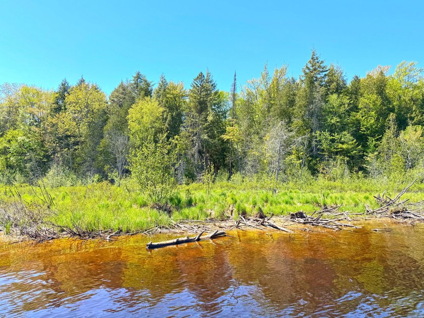 Here is a rare opportunity to own property on the mighty - Beach Acreage for sale in Paradise, Michigan on Beachhouse.com