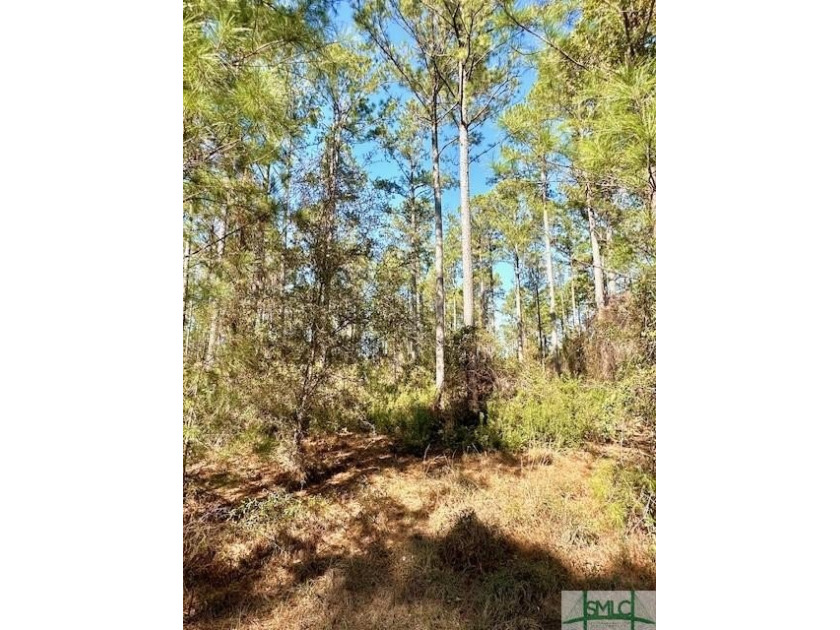 Dream Homesite 1.36 acres with Stunning Marsh Views in Private - Beach Lot for sale in Townsend, Georgia on Beachhouse.com