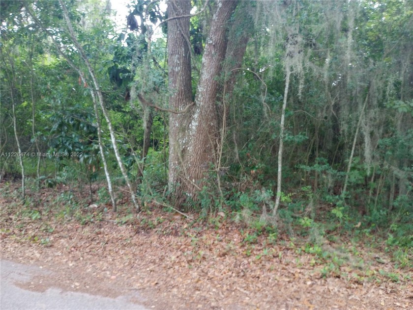 Wooded shaded Oak Hammock 8000 sq ft lot in highly desirable - Beach Lot for sale in St  Augustine, Florida on Beachhouse.com