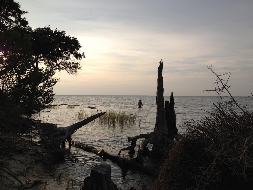Dove Lane stretches out into the Apalachicola Bay and ends at - Beach Lot for sale in St. George Island, Florida on Beachhouse.com
