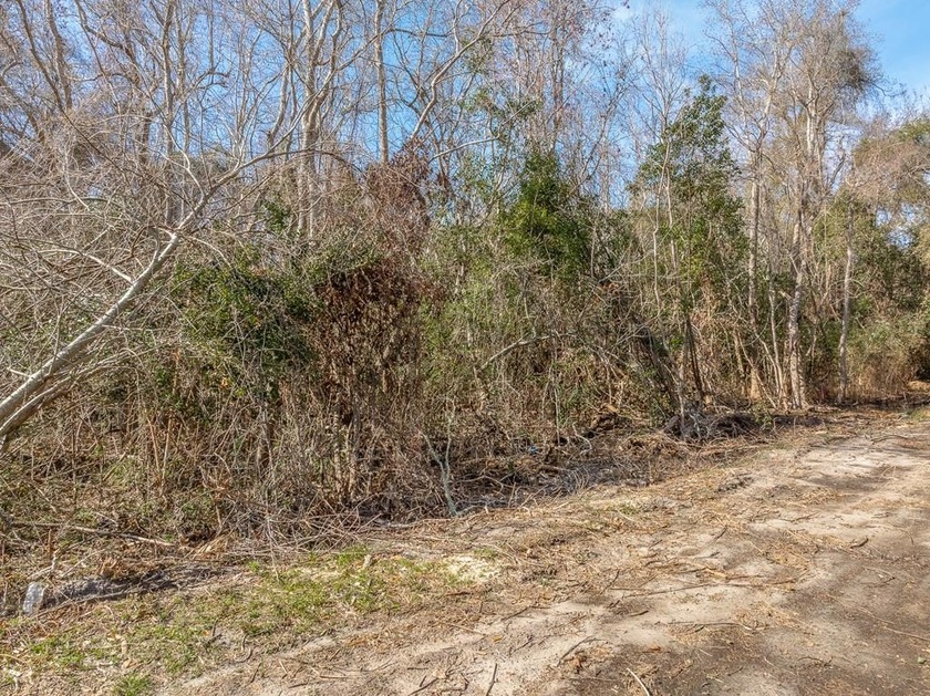 Excellent opportunity for an affordable building site in the - Beach Lot for sale in Apalachicola, Florida on Beachhouse.com