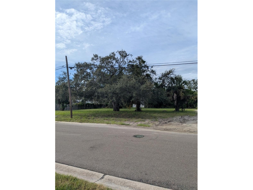 This is a *unicorn* double lot biking distance to eclectic - Beach Lot for sale in St. Petersburg, Florida on Beachhouse.com