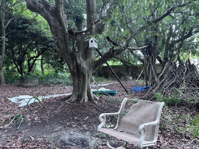 Versatile Land with Income Potential - Lychee, star fruit - Beach Lot for sale in Boynton Beach, Florida on Beachhouse.com