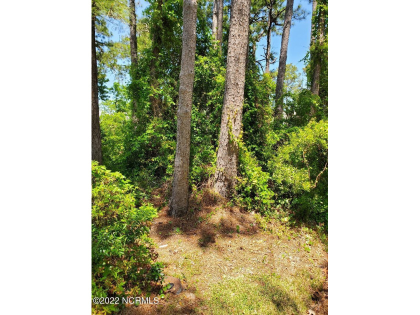 Great wooded lot for your island home.  Rare find in a desirable - Beach Home for sale in Oak Island, North Carolina on Beachhouse.com