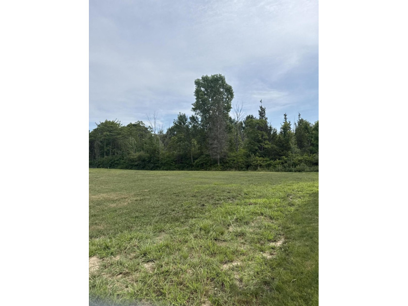 Experience the tranquility of lakeside living. Picture your - Beach Lot for sale in South Haven, Michigan on Beachhouse.com