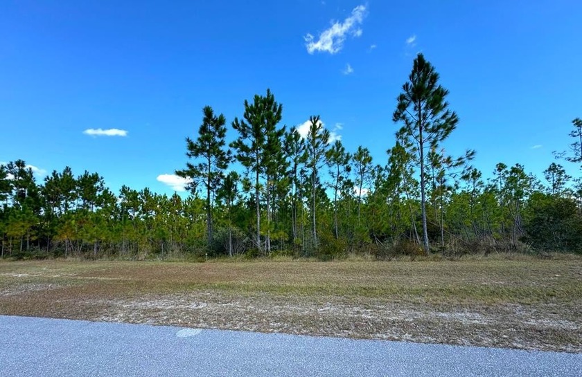 1.65-acre homesite in gated Wetappo community  Private boat ramp - Beach Lot for sale in Wewahitchka, Florida on Beachhouse.com