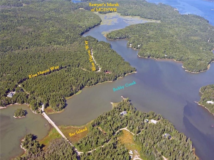 Blue Heron Way ~ Waterfront home sites. Some lots tidal, some - Beach Acreage for sale in Milbridge, Maine on Beachhouse.com