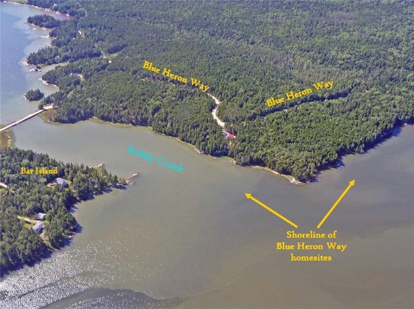 Blue Heron Way ~ Waterfront home sites. Some lots tidal, some - Beach Lot for sale in Milbridge, Maine on Beachhouse.com