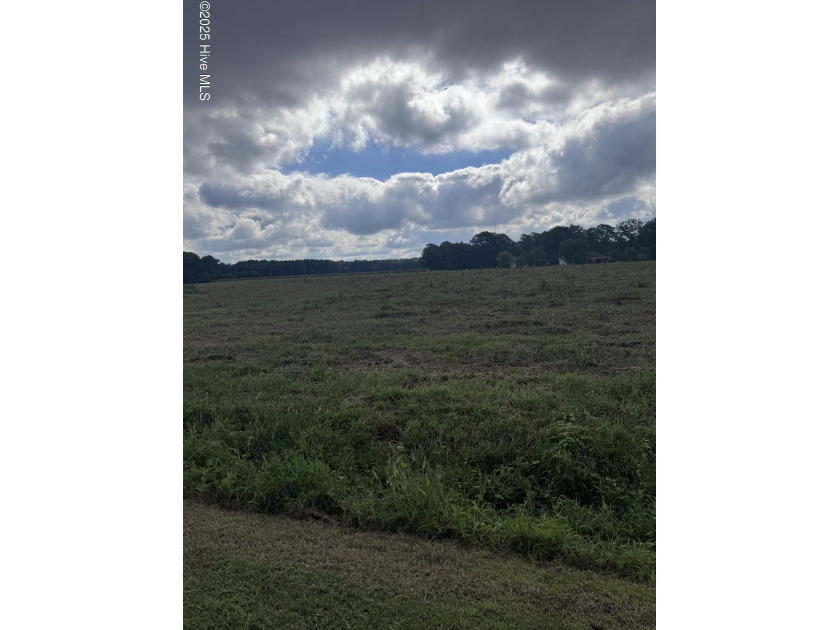 Build your dream home on this spacious 3/4-acre lot located in - Beach Lot for sale in Bath, North Carolina on Beachhouse.com