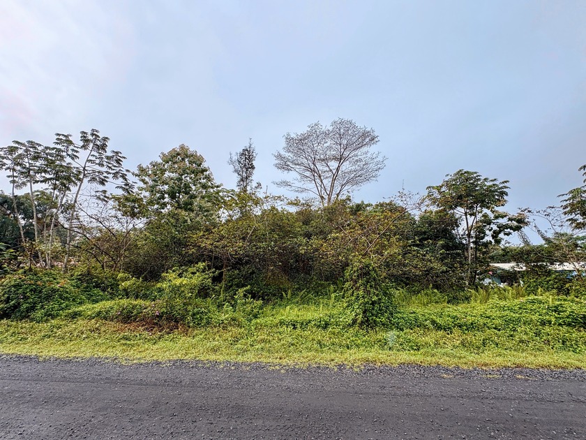 Vacant 1-acre parcel on 21st Ave in Hawaiian Paradise Park - Beach Lot for sale in Keaau, Hawaii on Beachhouse.com